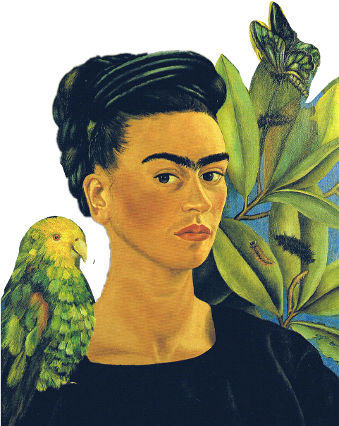 Portraitof Womanwith Parrotand Butterfly PNG