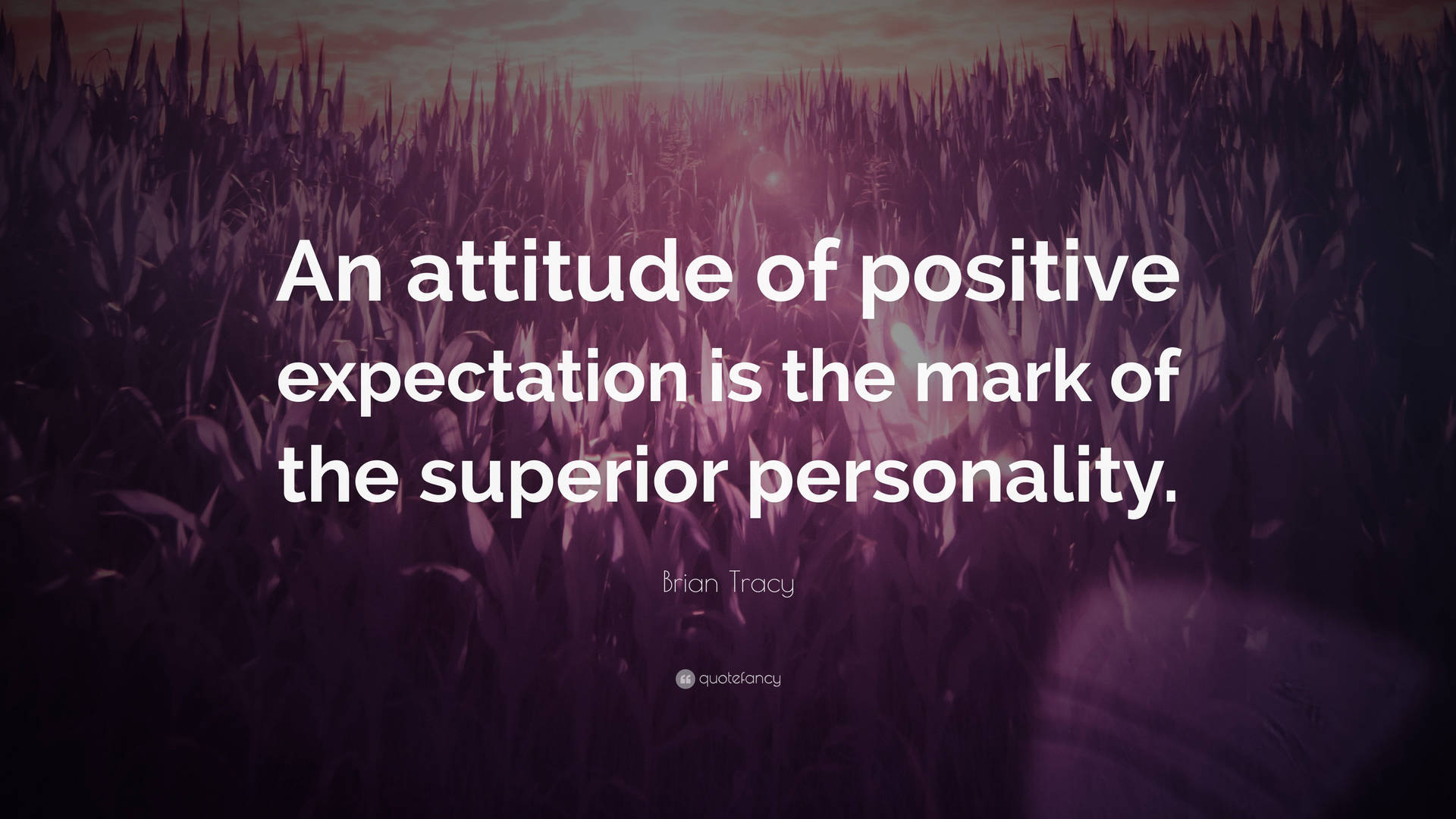 Positive Expectation Attitude 4k Wallpaper