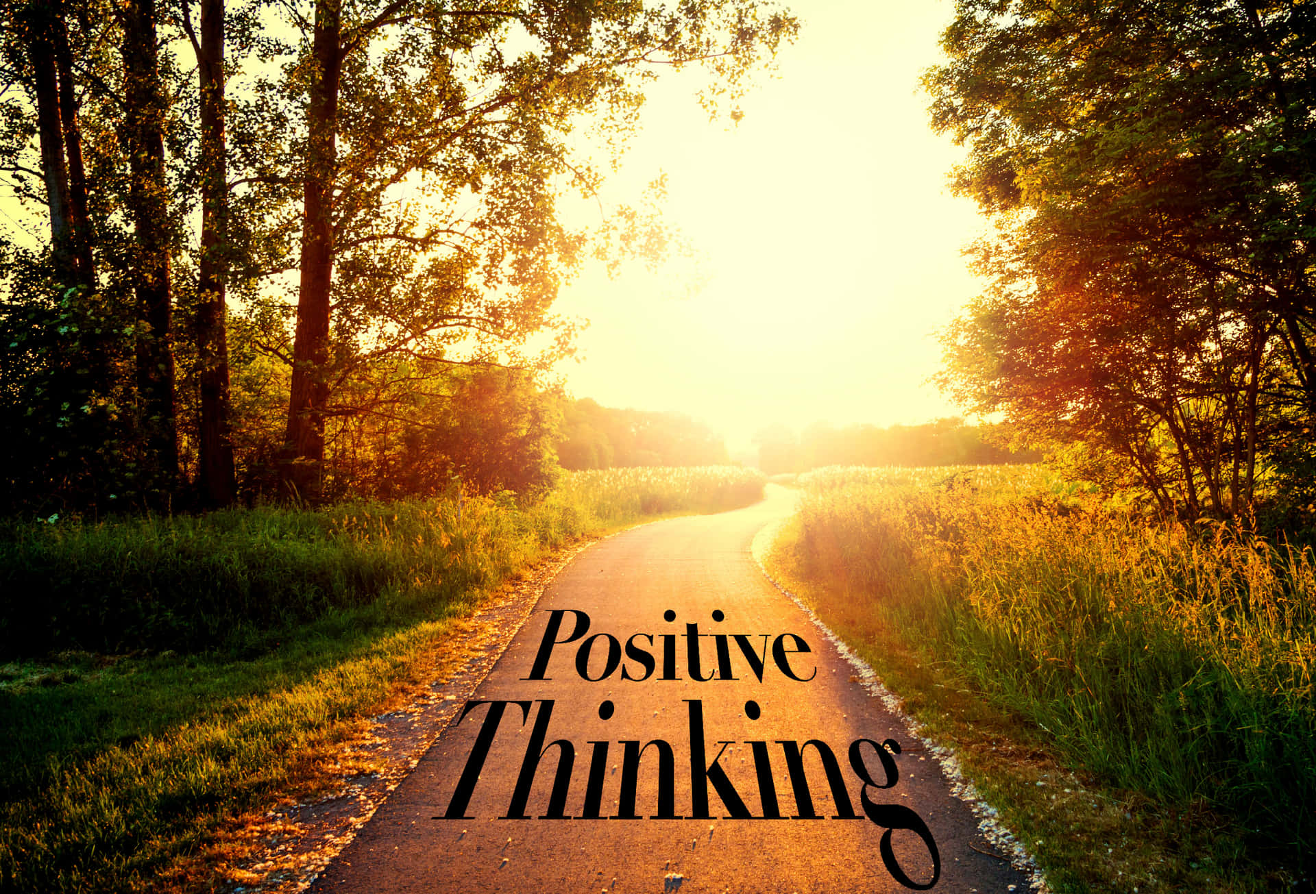 Positive Thinking - A Road With Trees And Sun