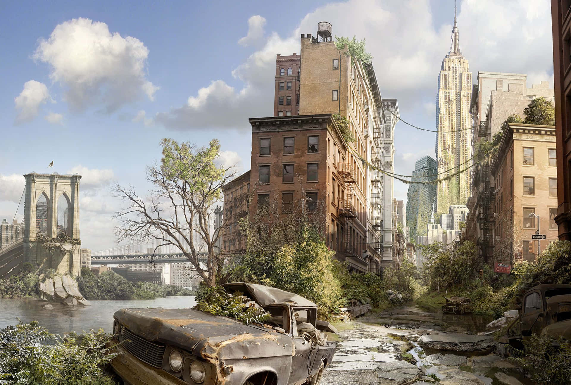 The Last Of Us - Brooklyn Wallpaper