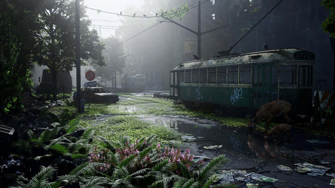 The Last Of Us - Screenshots Wallpaper
