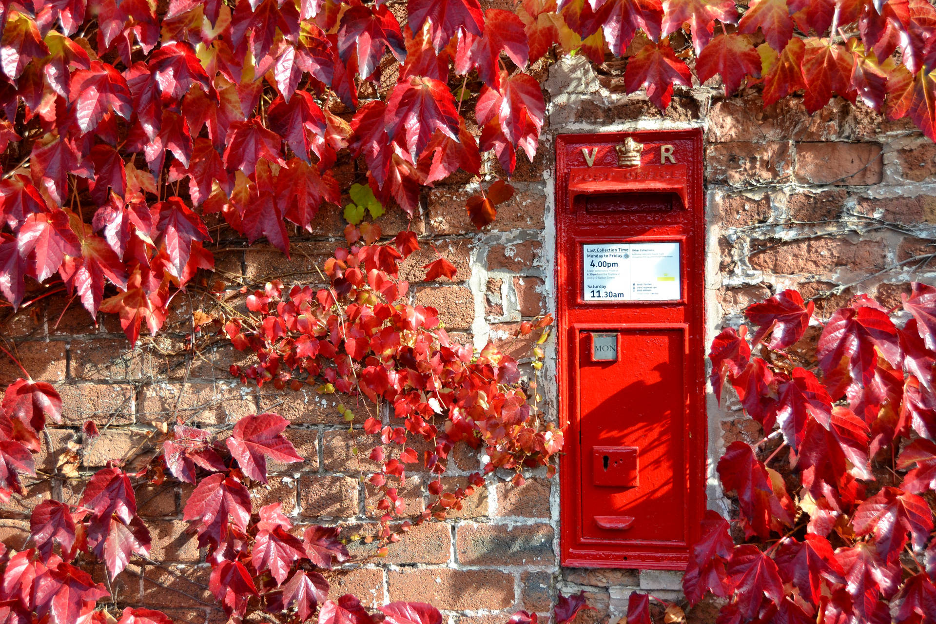 Post Office Red Royal Box Wallpaper