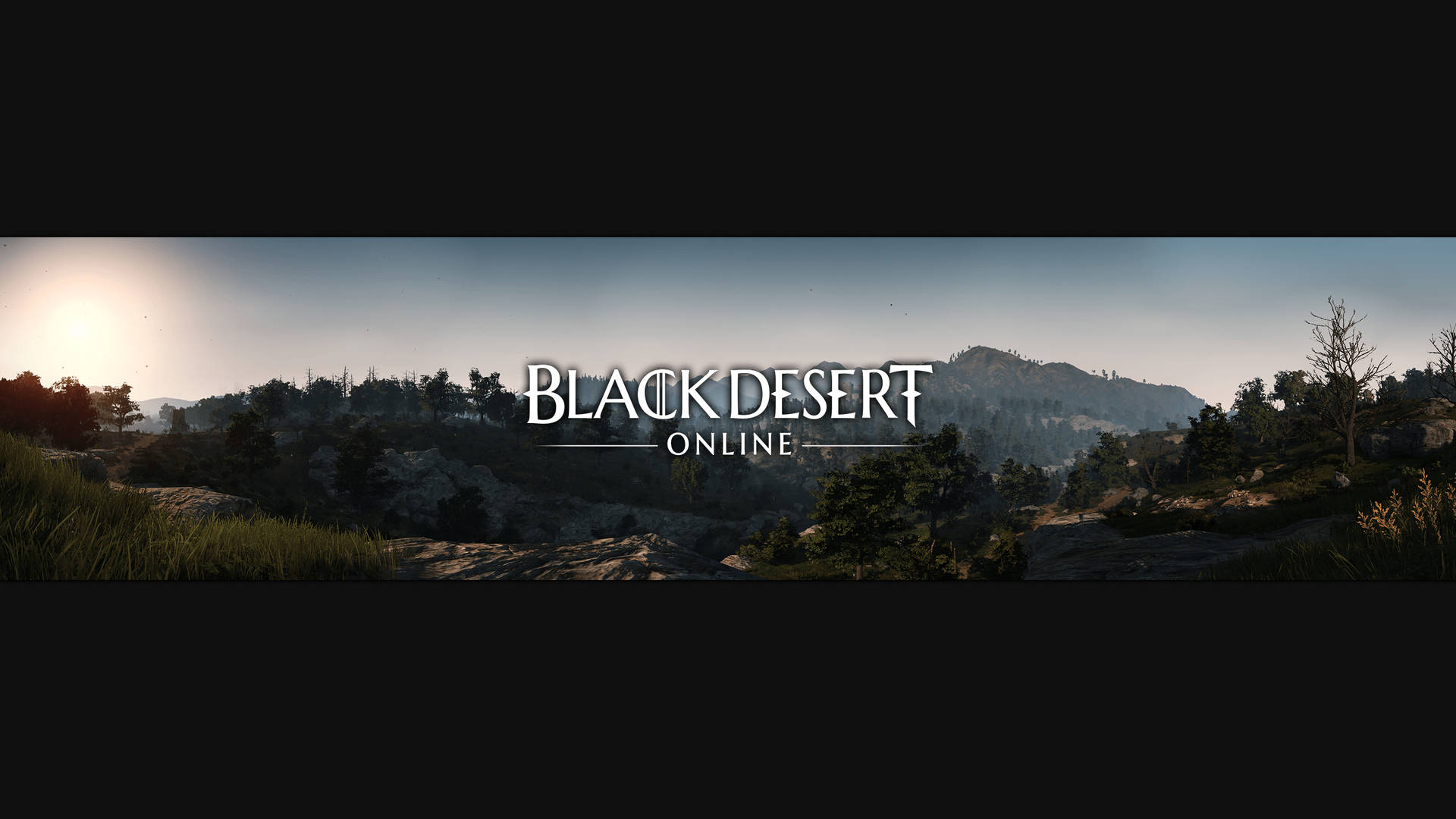 Posterlogo Di Black Desert Online Sfondo
