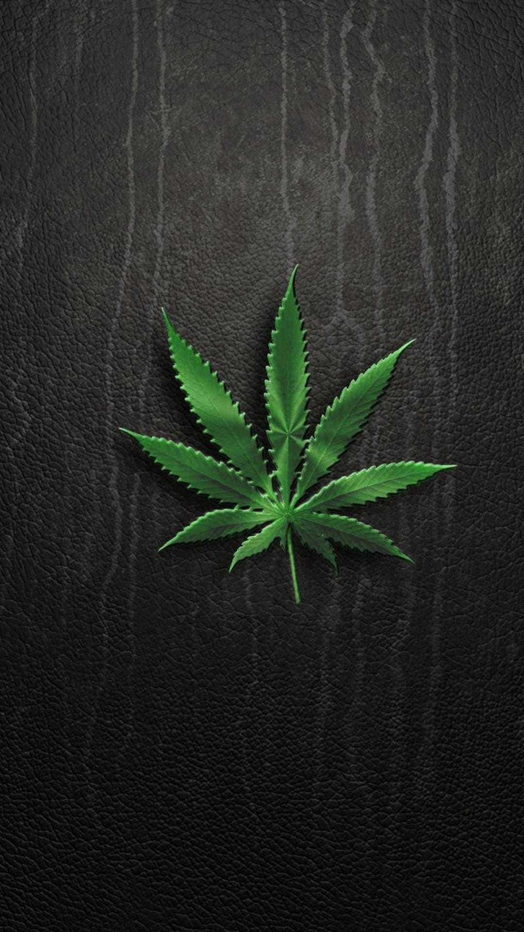 Högkvalitativväggpapper Med Cannabisblad