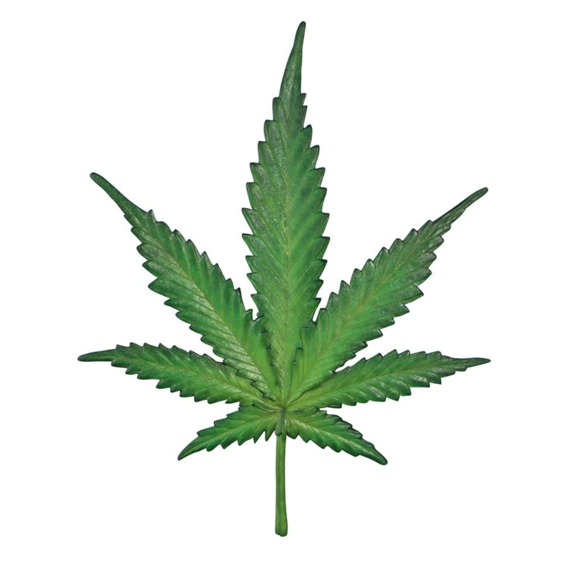 A Green Marijuana Leaf On A White Background