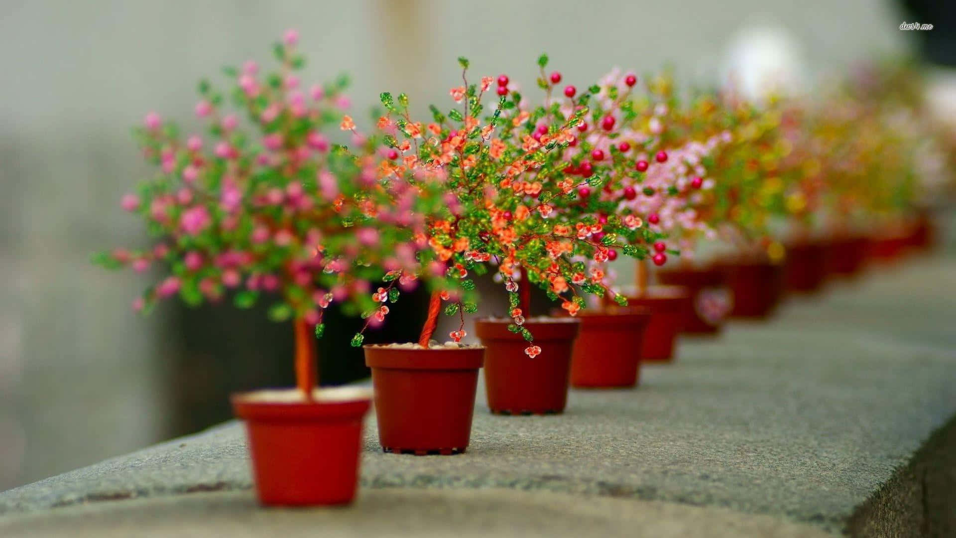 A beautiful pot of vibrant petunias