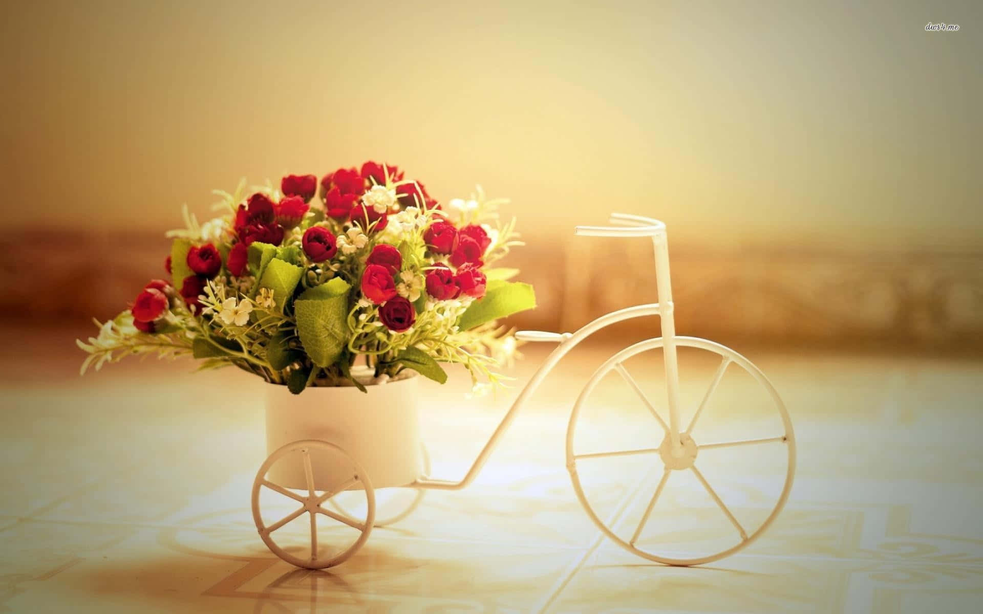 Envit Cykel Med Röda Blommor