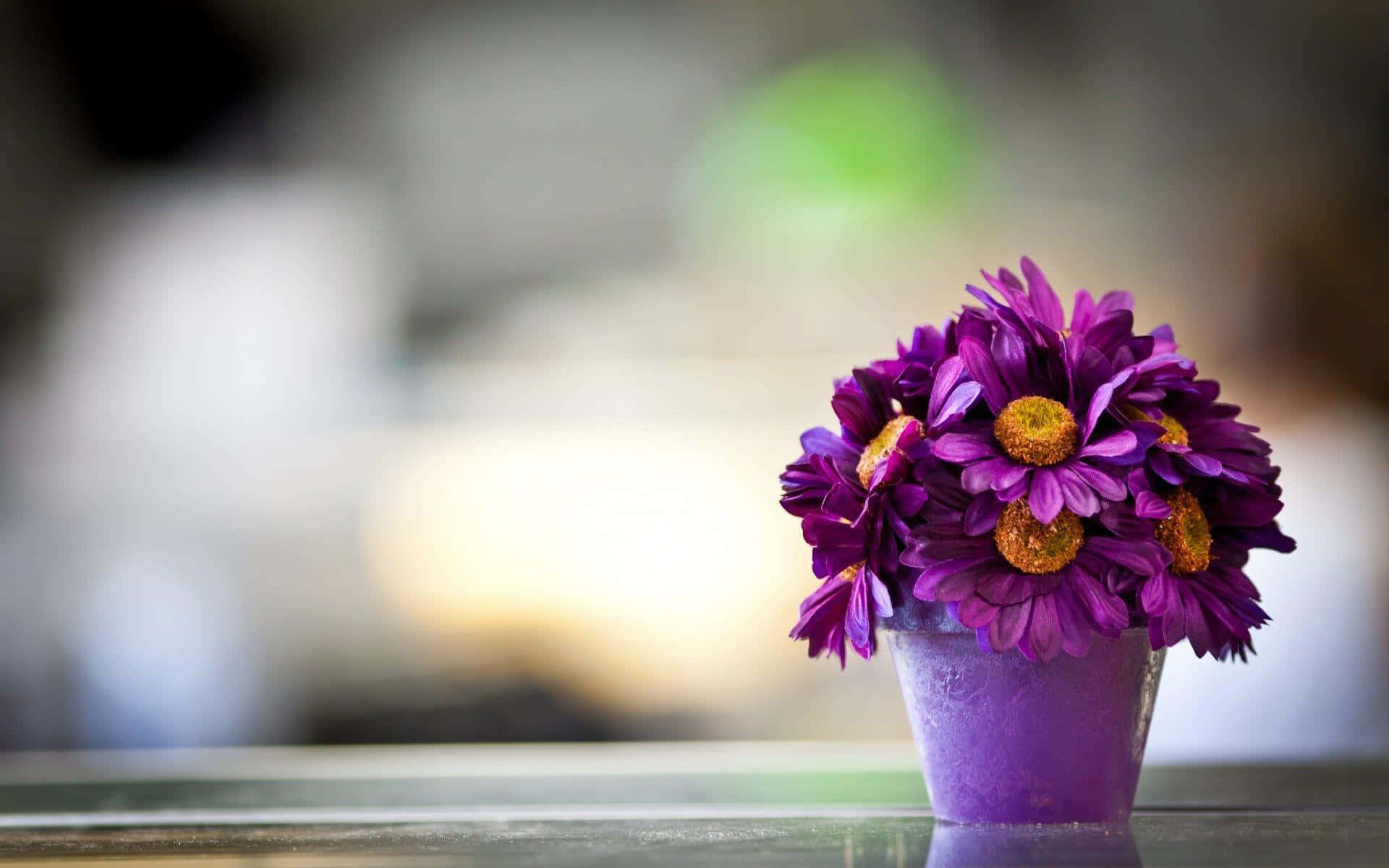 Purple Flowers In A Purple Pot