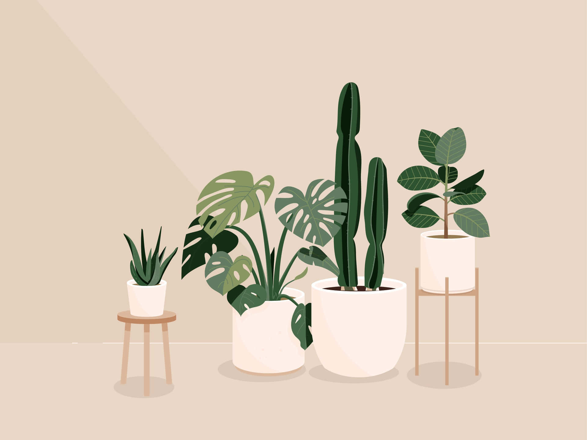 A Set Of Potted Plants In A Room