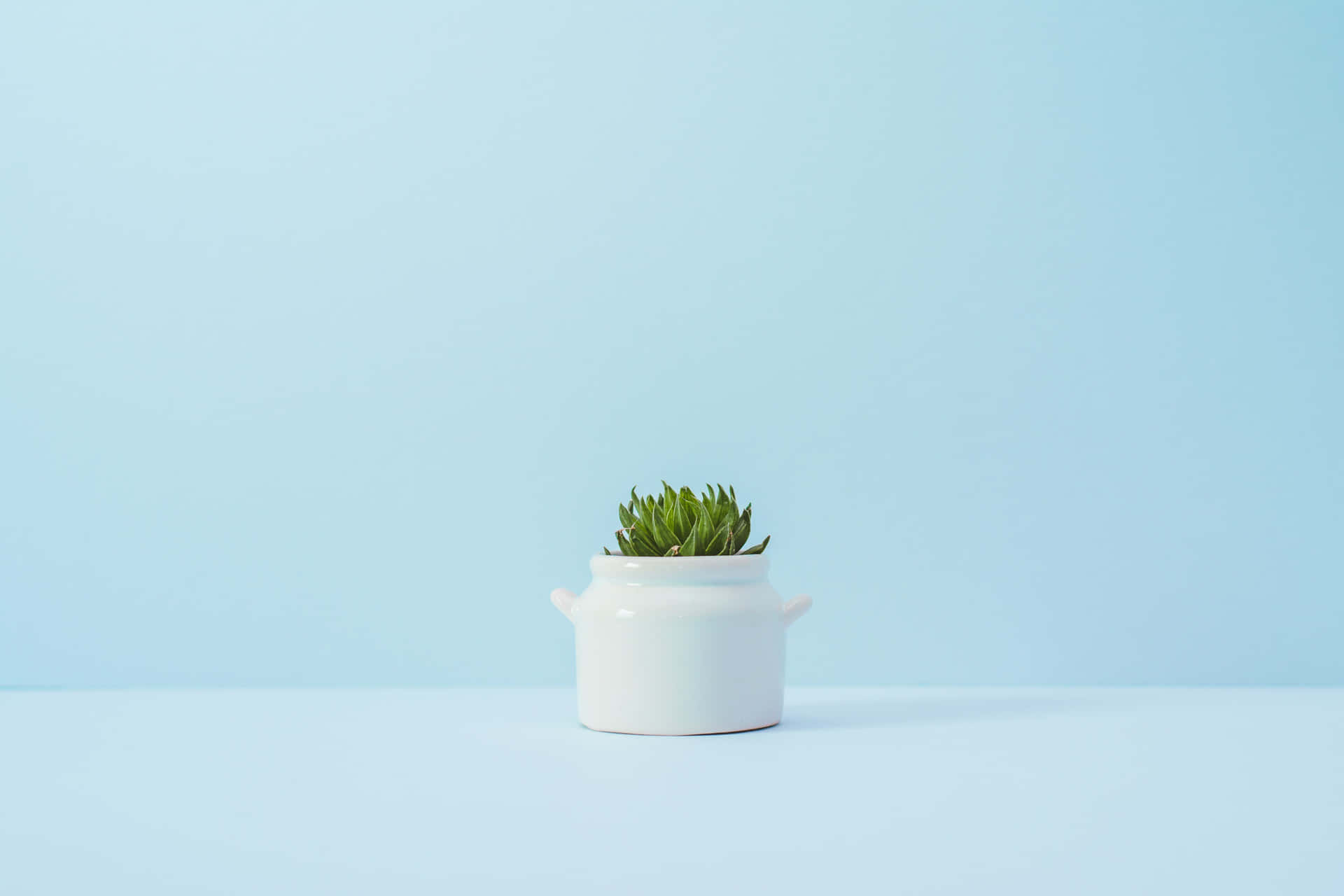 A Small Pot With A Plant On A Blue Background