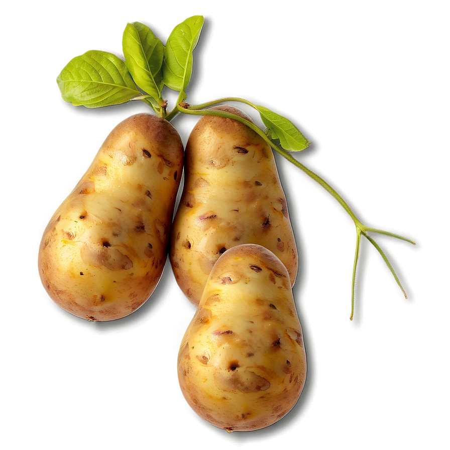 Potato B PNG