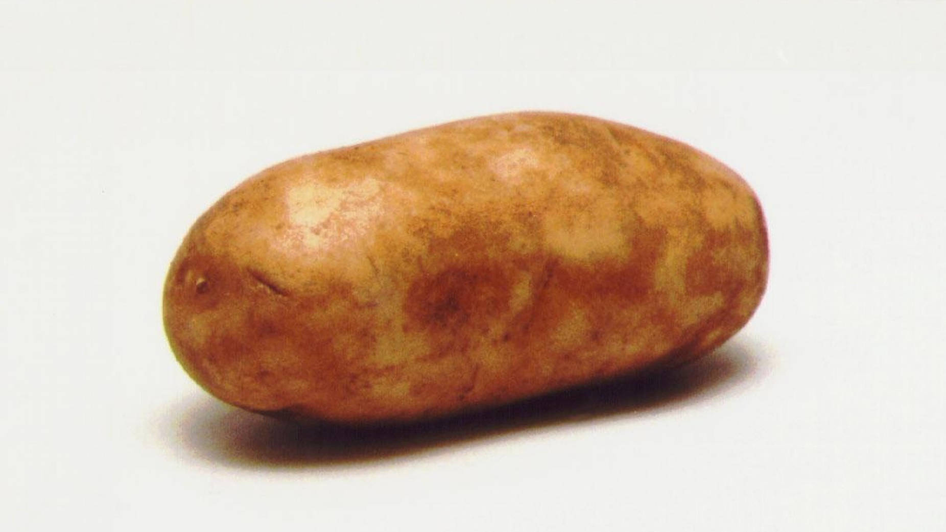 "Fresh Long Russet Potato on Rustic Background" Wallpaper