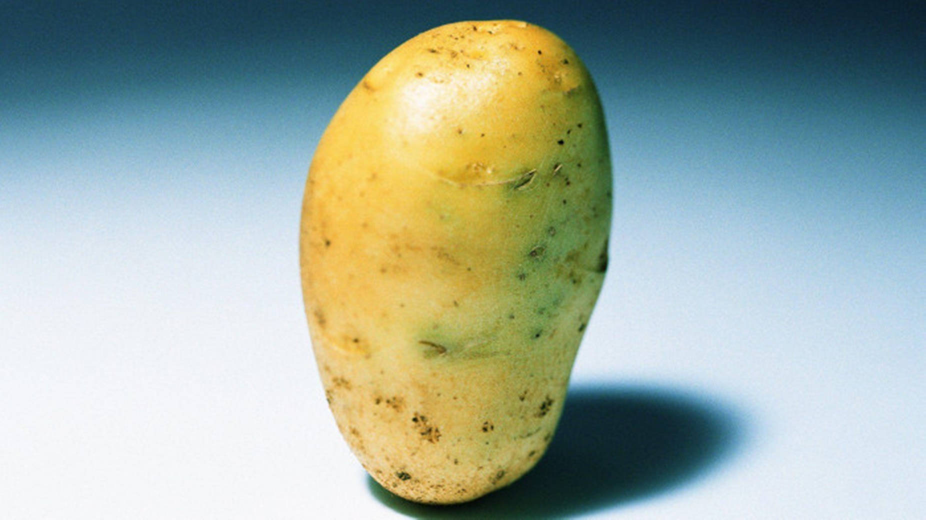 Potato With A Long Elongated Body Wallpaper