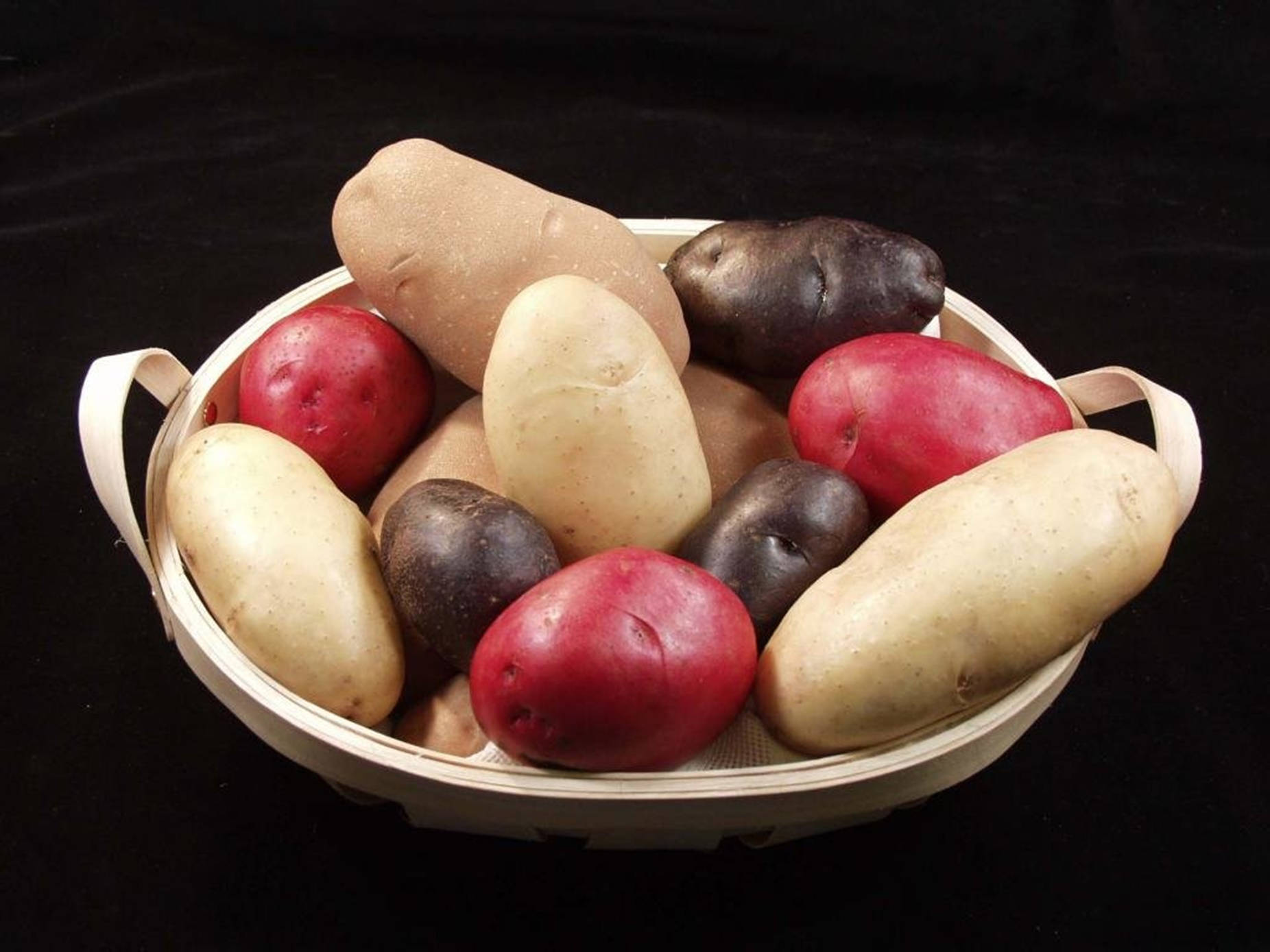 Potatoes Colorful Heirloom Variety Wallpaper