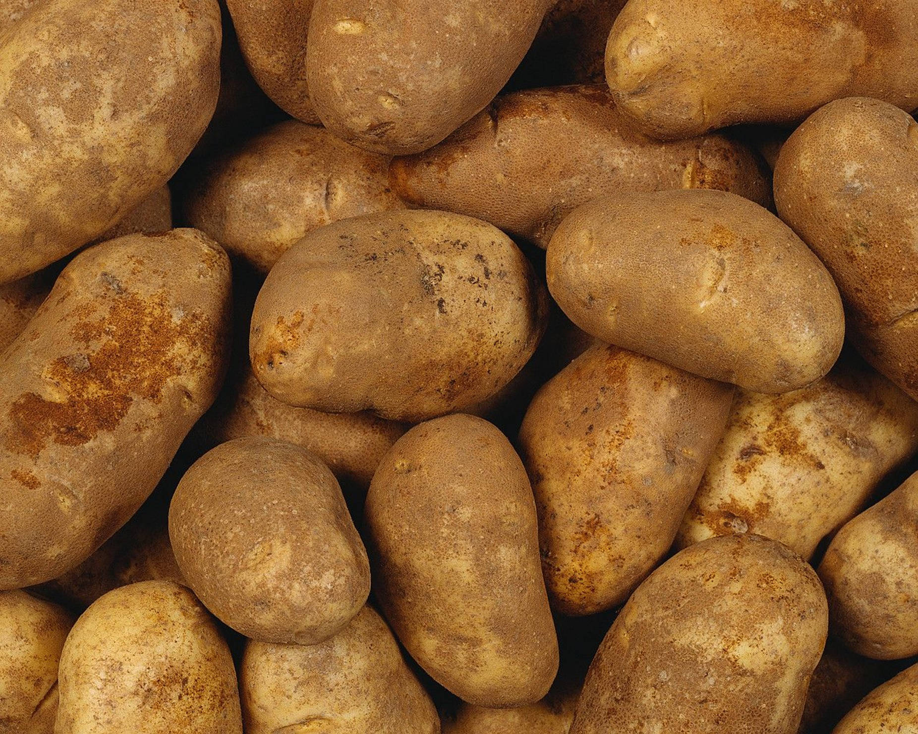 Kartoffelnmit Dreck Bedeckt Wallpaper
