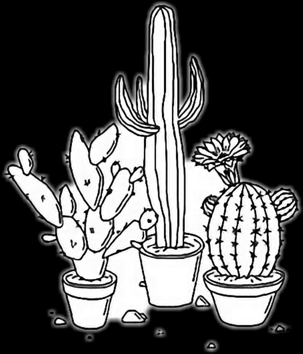 Potted Cactus Collection Line Art PNG