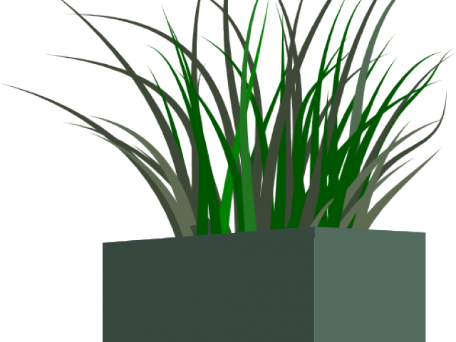 Potted Grass3 D Rendering PNG