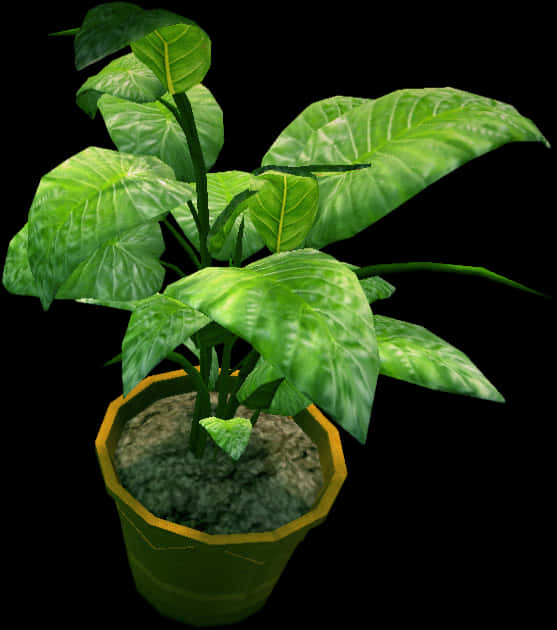Potted Plant Green Leaves3 D Model PNG