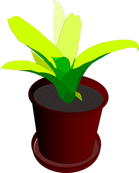 Potted Plant Illustration PNG