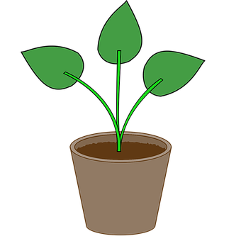 Potted Plant Illustration PNG