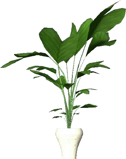 Potted Plant Interior Decor PNG