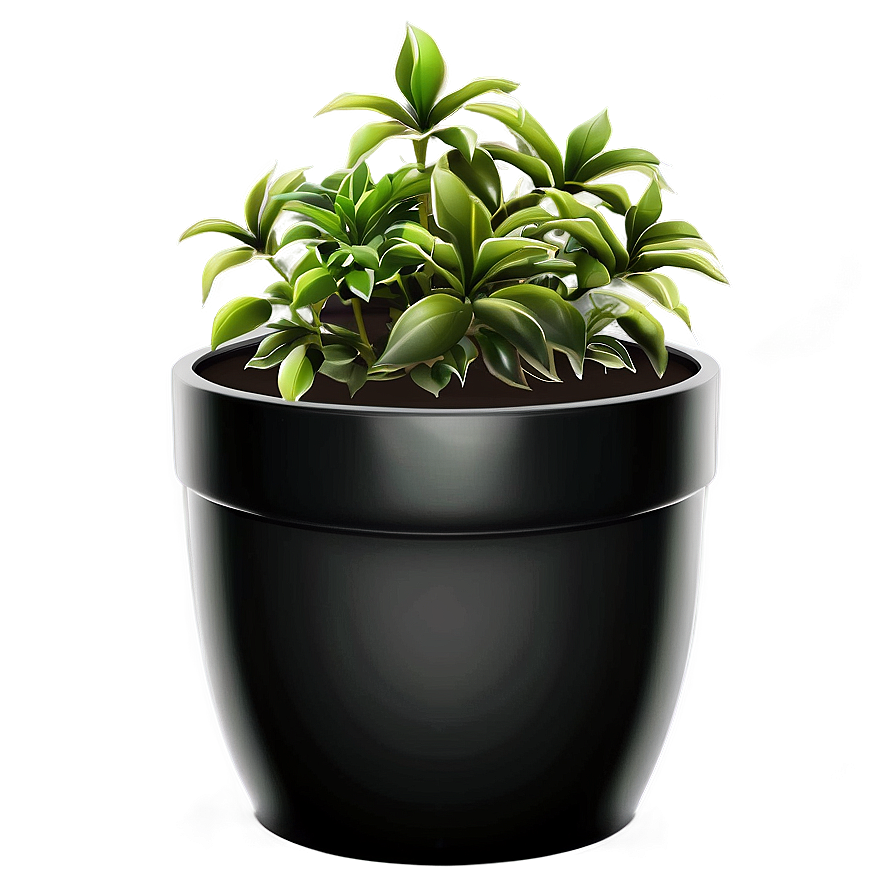 Potted Plant Png Jks41 PNG