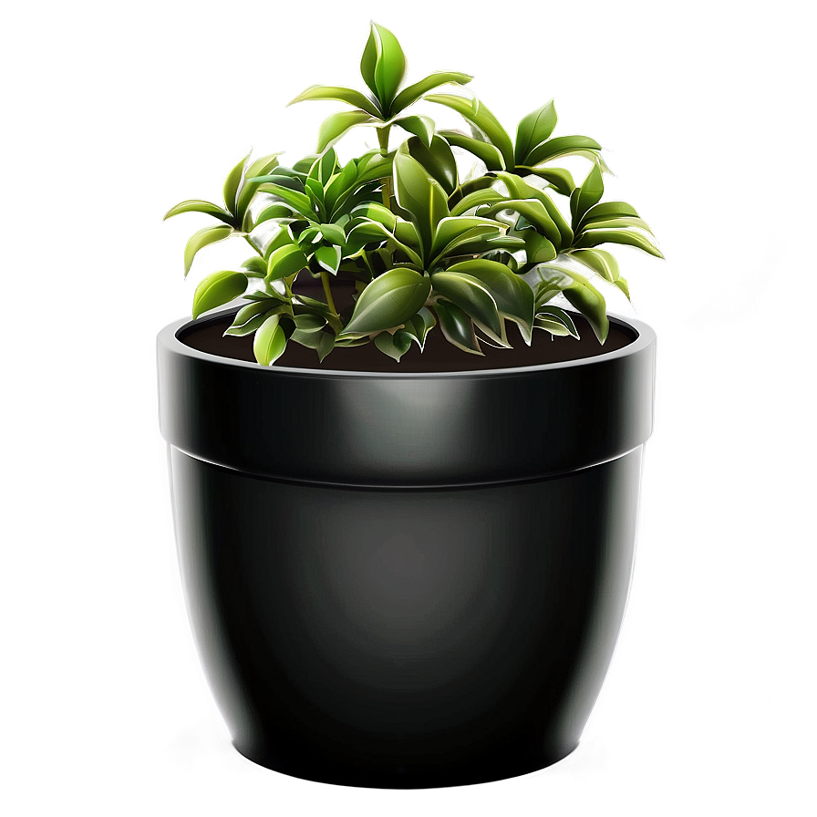 Download Potted Plant Png Jks41 | Wallpapers.com