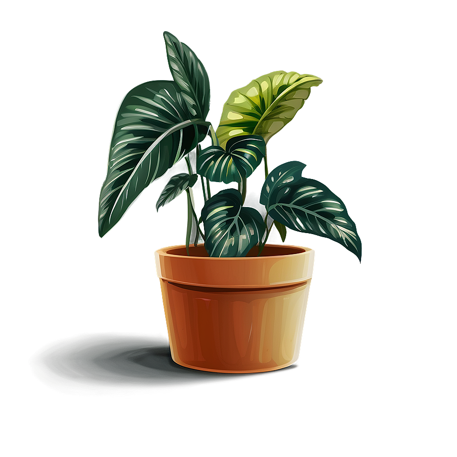 Potted Plants A PNG