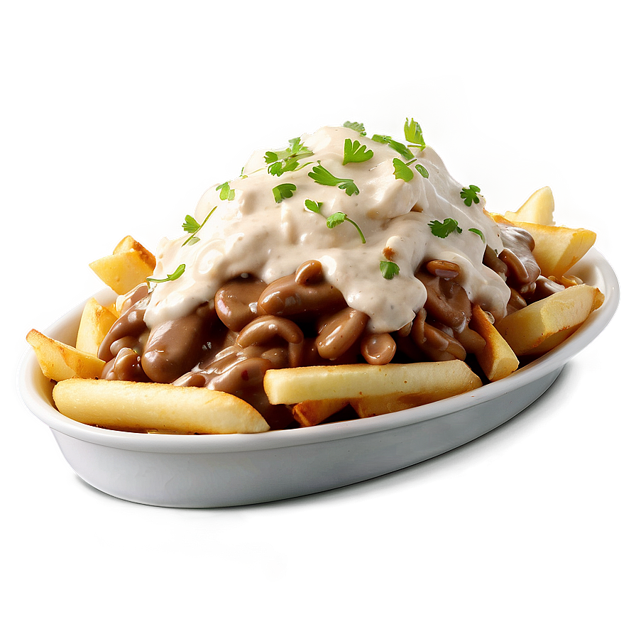 Poutine With Stroganoff Sauce Png 06252024 PNG