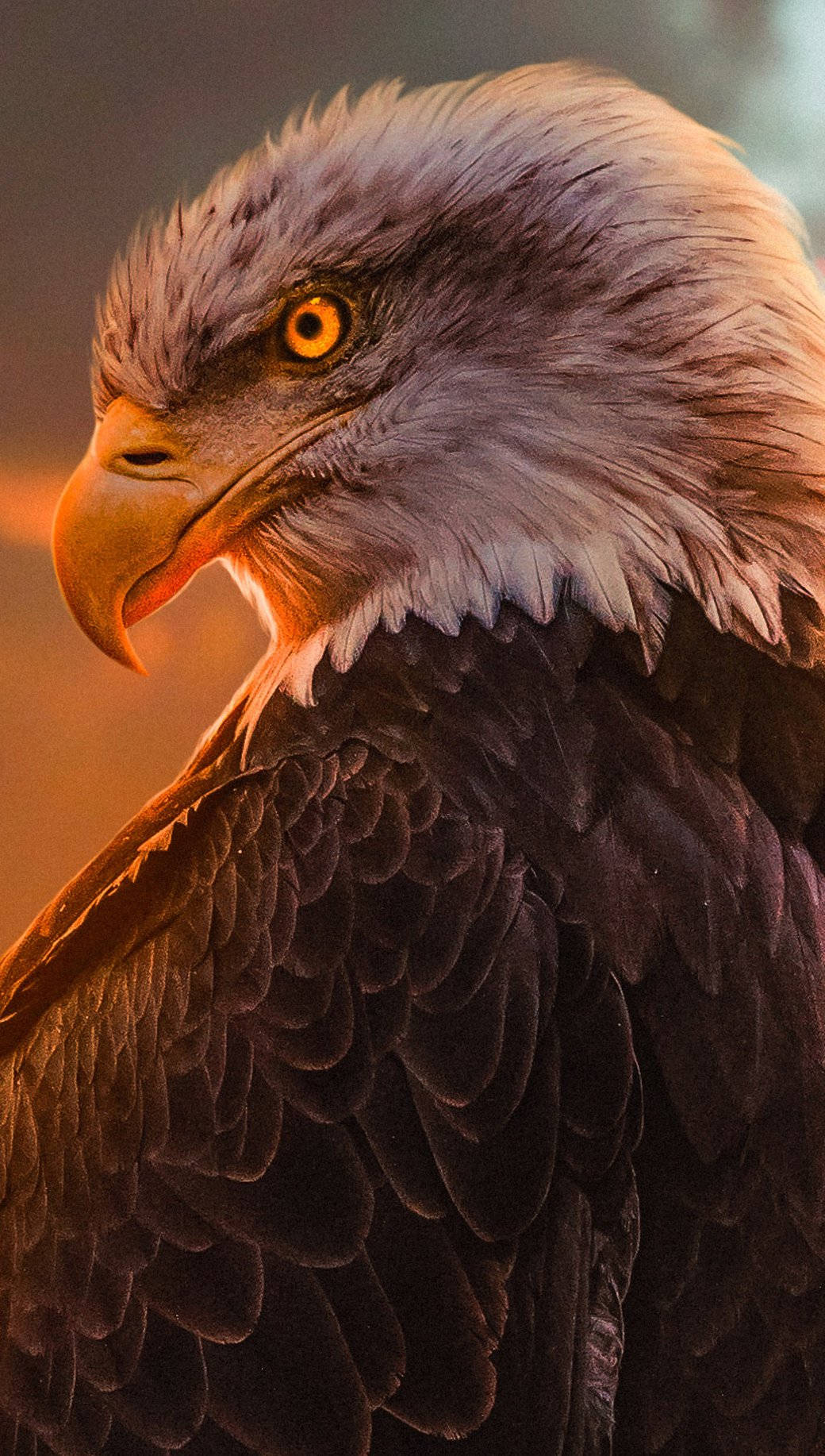 Powerful Aguila Portrait Wallpaper