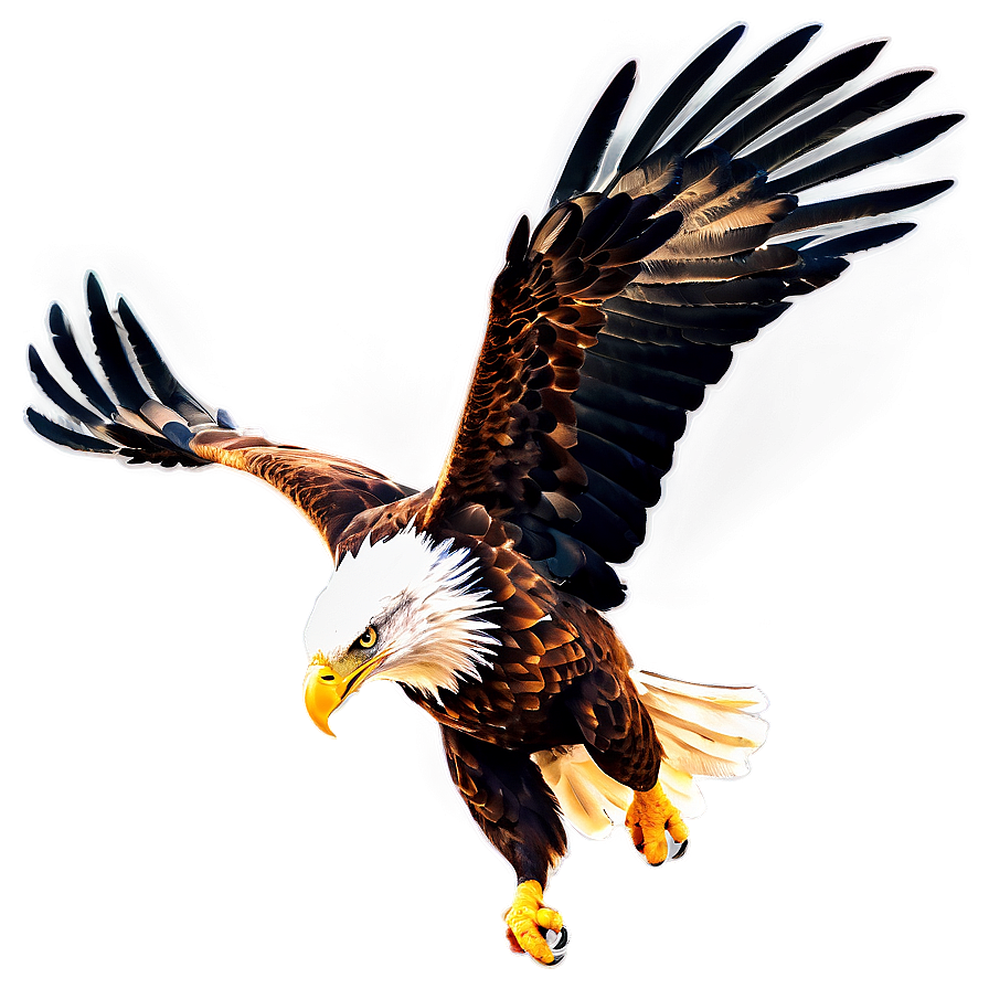 Powerful Eagle Swooping Png Jmx PNG