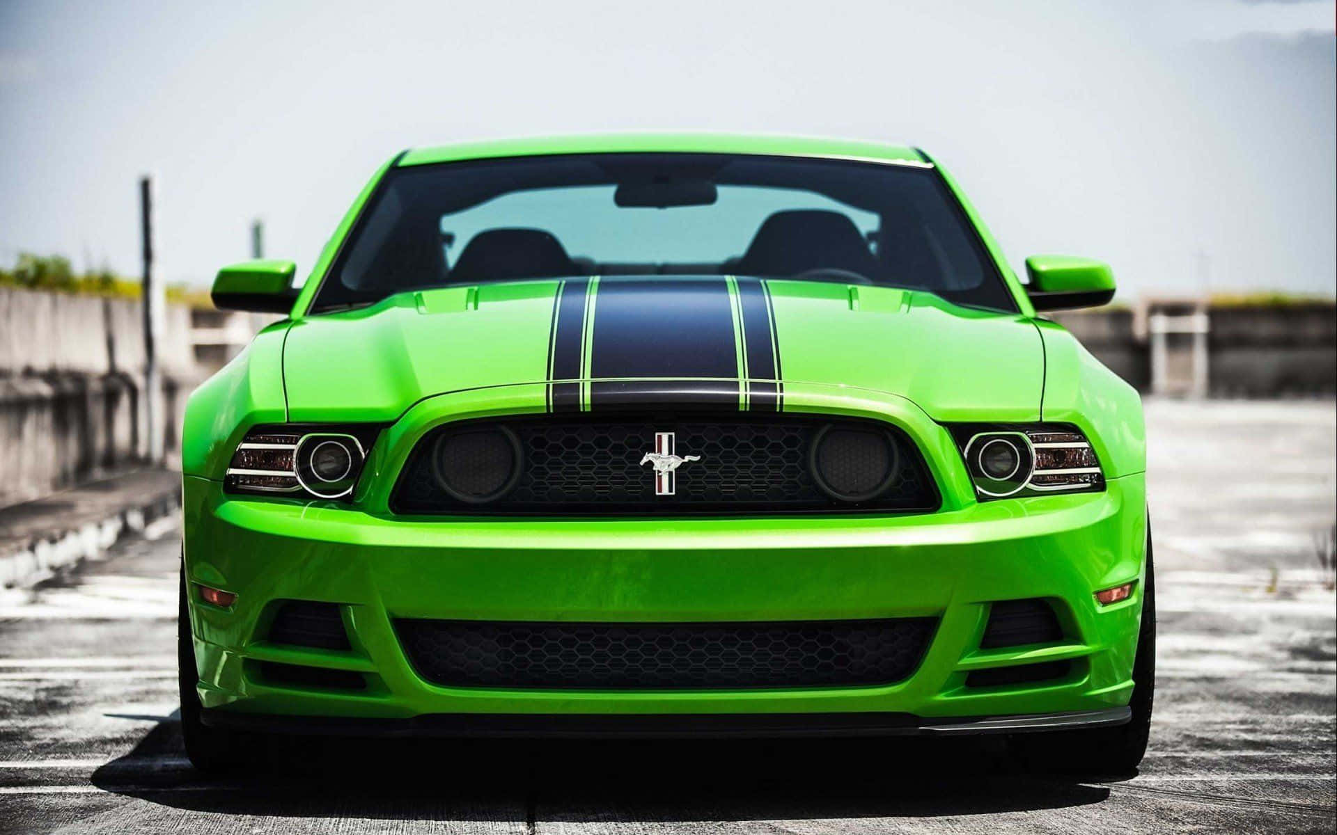 Powerful Ford Mustang Boss 302 On The Road Wallpaper