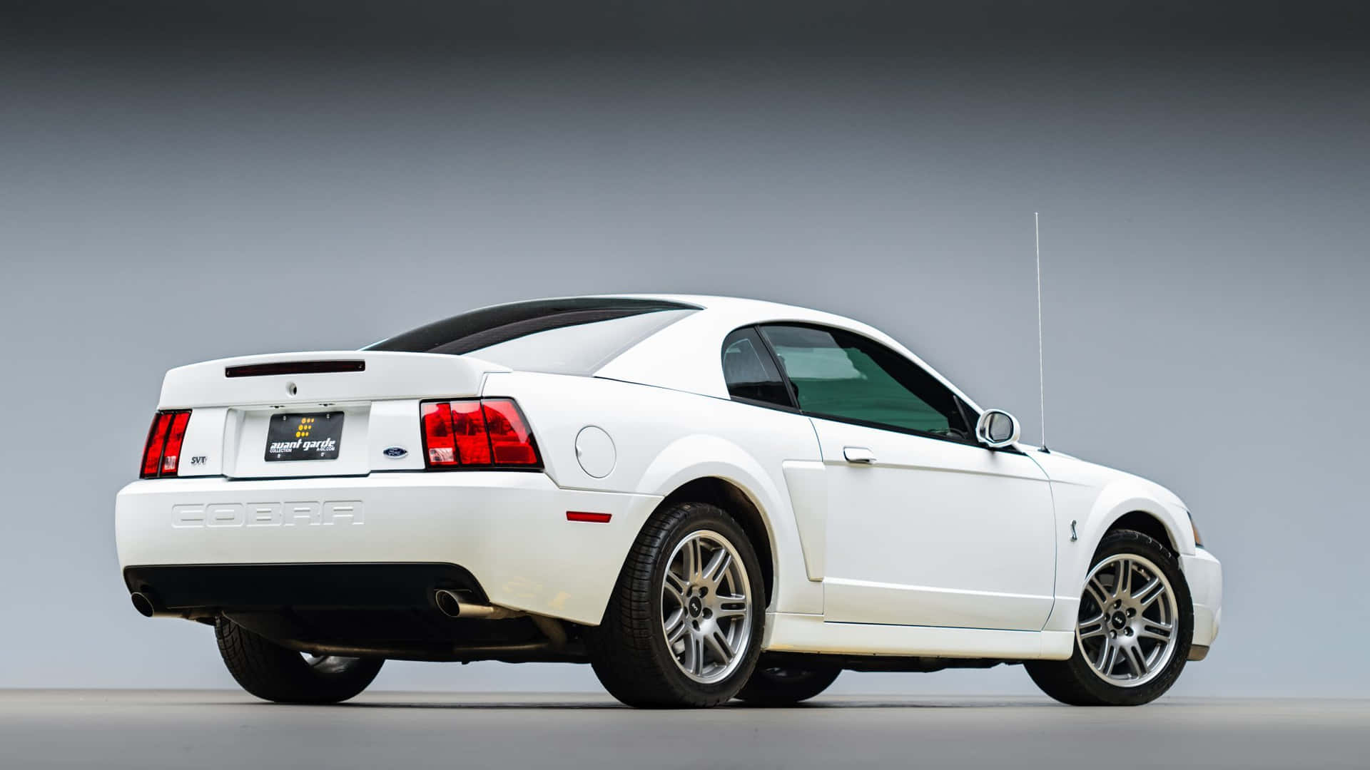 Powerful Ford Mustang Svt Cobra Unleashed Wallpaper