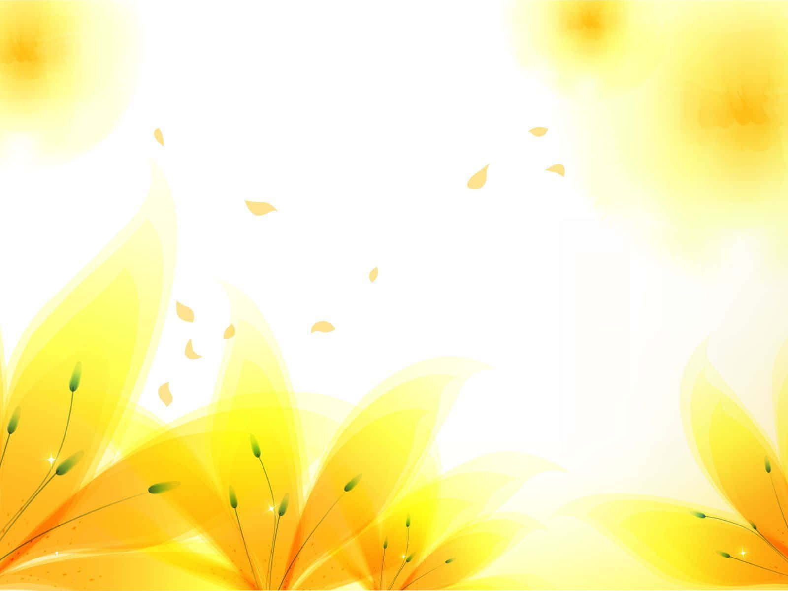 Gelbeblumen Mit Blättern Auf Einem Weißen Hintergrund