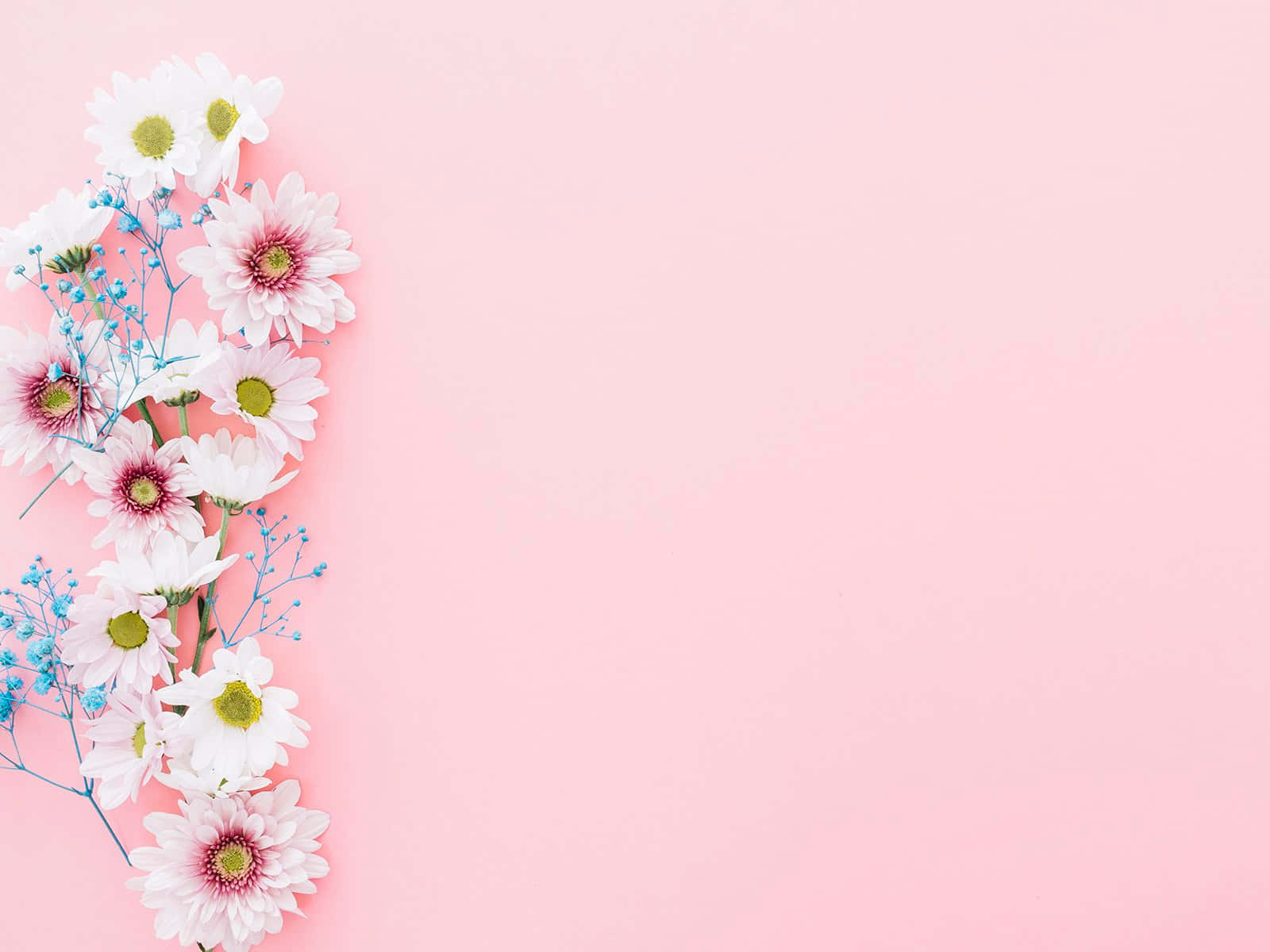 Girly Pink Flowers PPT Background