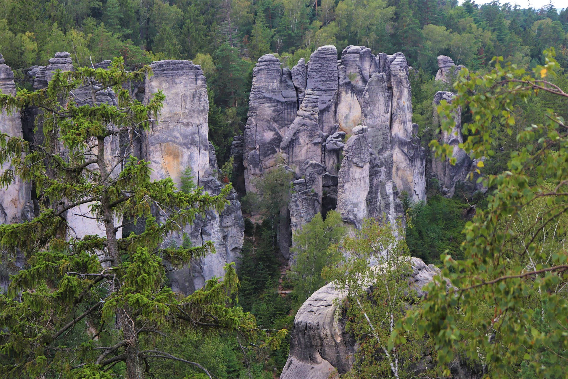 Prachov Rock Cliffs Czech Republic