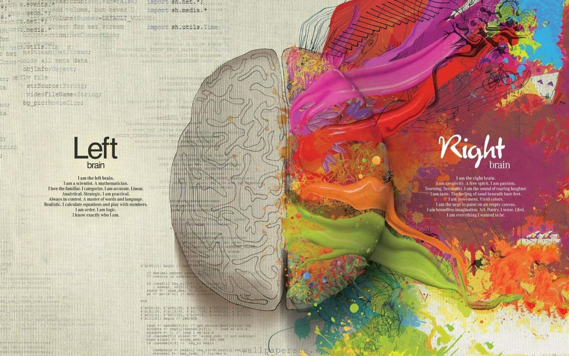 Practical Brain Part Illustration Wallpaper