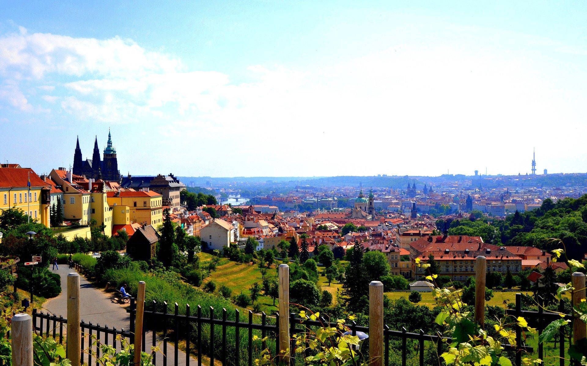 La Natura Più Bella Dei Giardini Del Castello Di Praga Sfondo