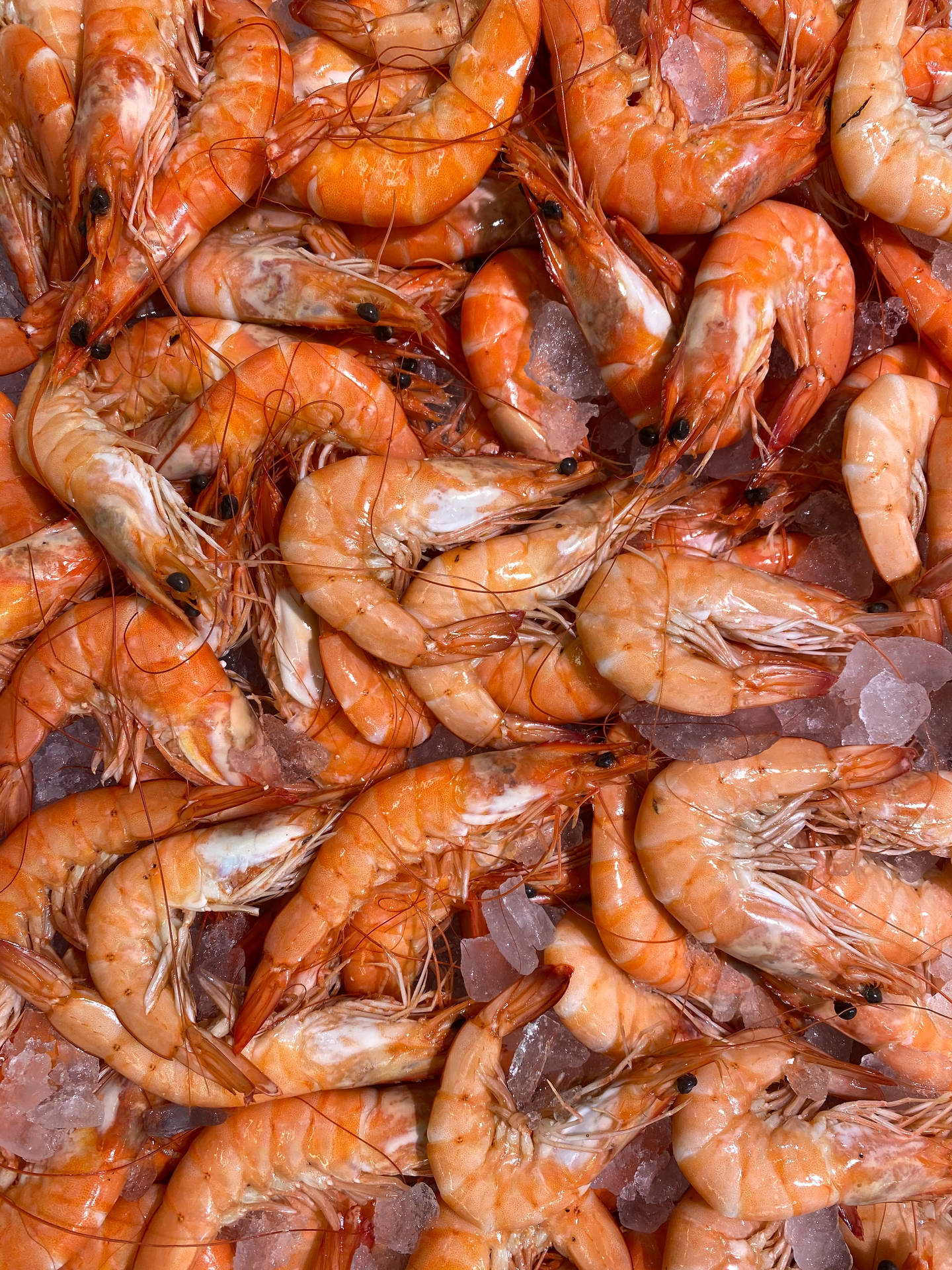 Prawns And Shrimps On Ice Wallpaper