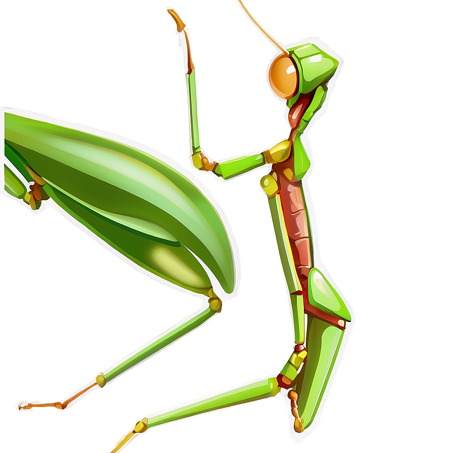 Praying Mantis Png 81 PNG