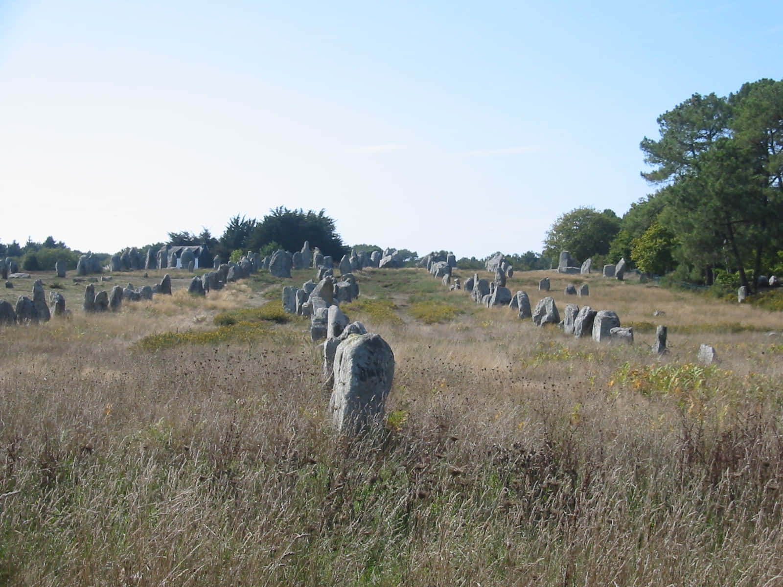 Majestic panorama of the prehistoric Carnac standing stones, France. Wallpaper