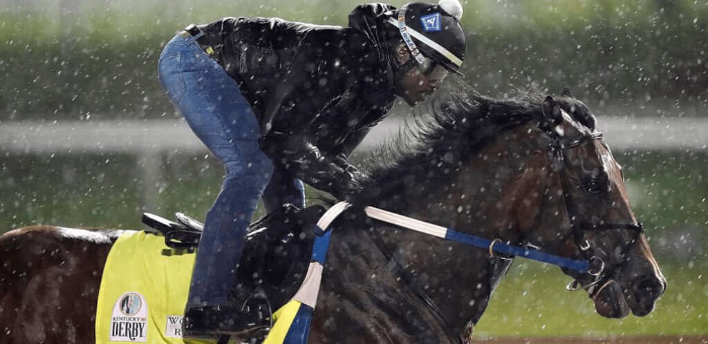 En rytter der rider en hest i regnen