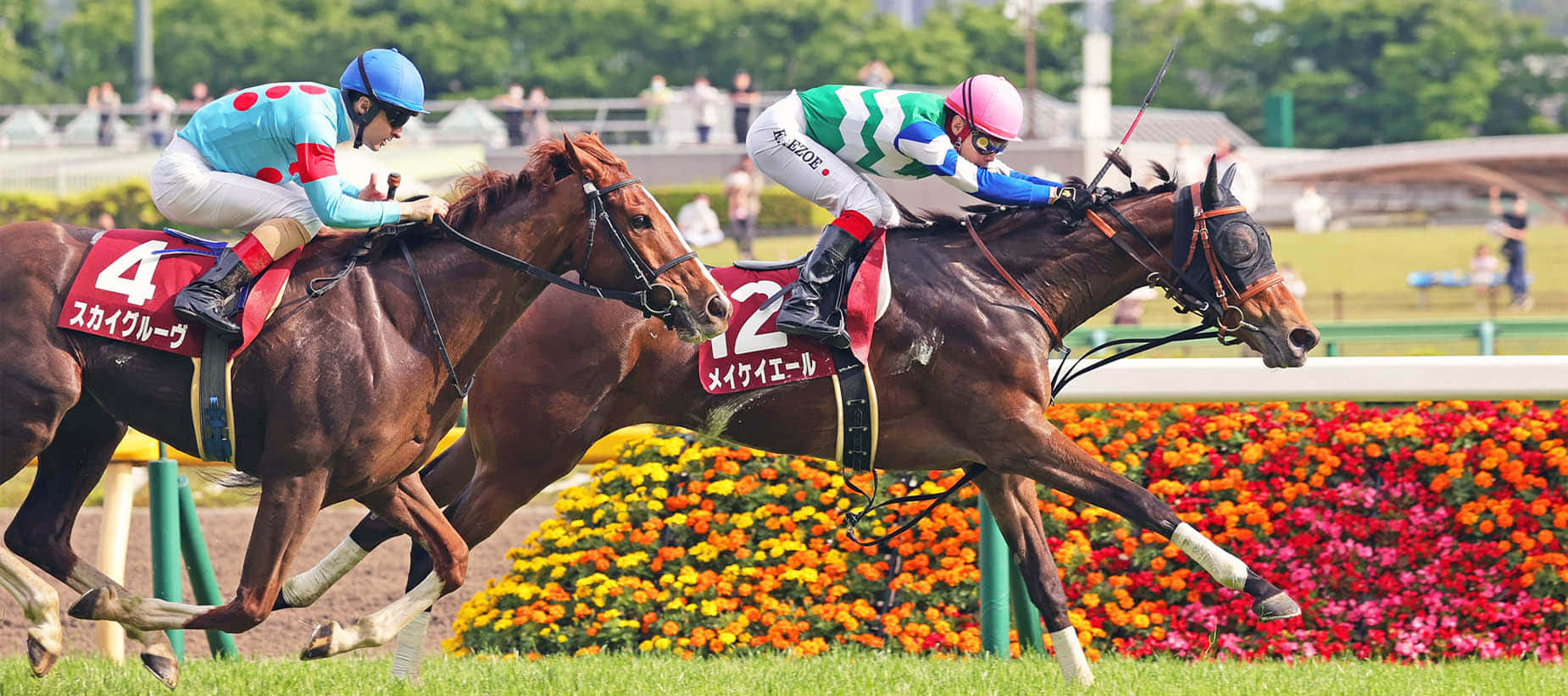 The Preakness Horses of 2022 Ready to Race