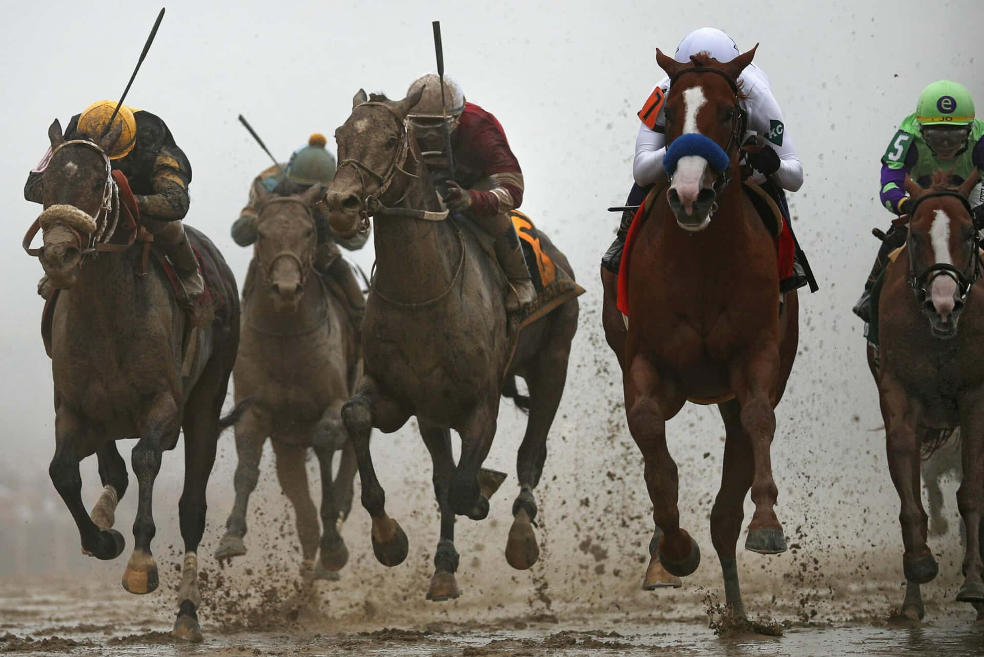 A Group Of Jockeys Are Racing In A Muddy Race