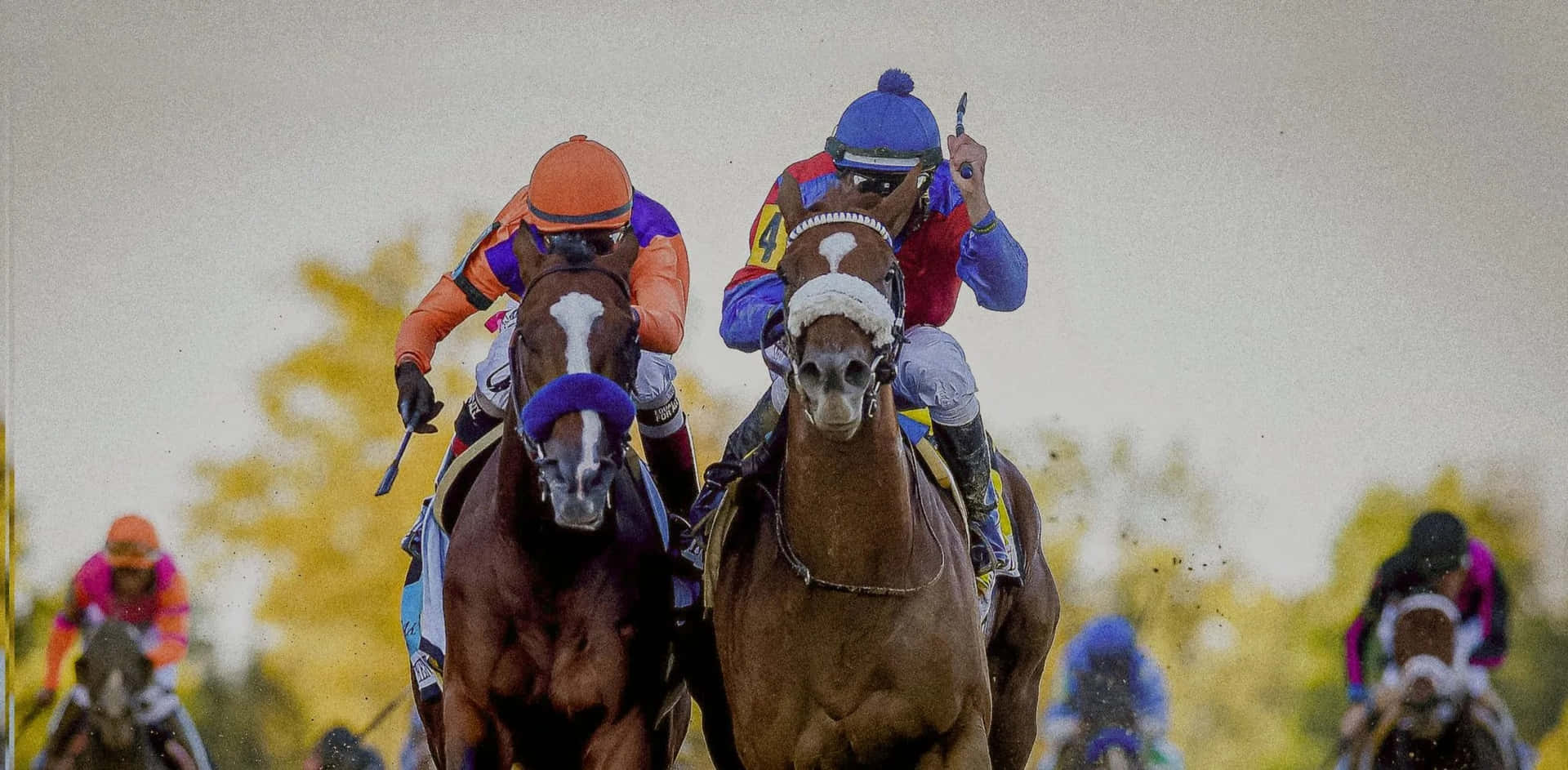 Download Four horses competing with vigor for the 2022 Preakness Stakes