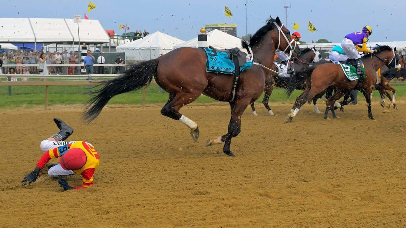Preakness Horses 2022 on their majestic journey to Triple Crown glory