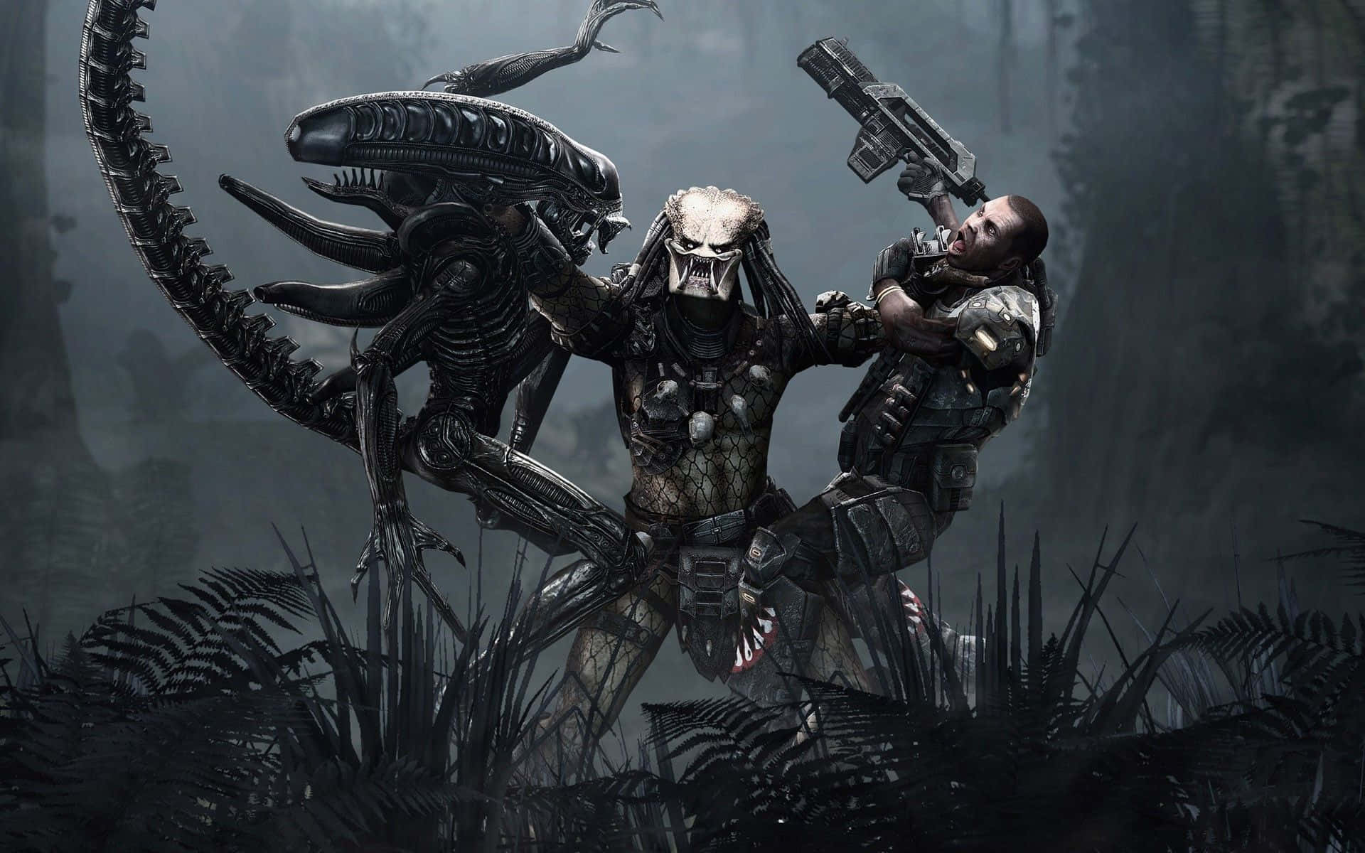 Aliens Vs Predator - Hd Wallpaper