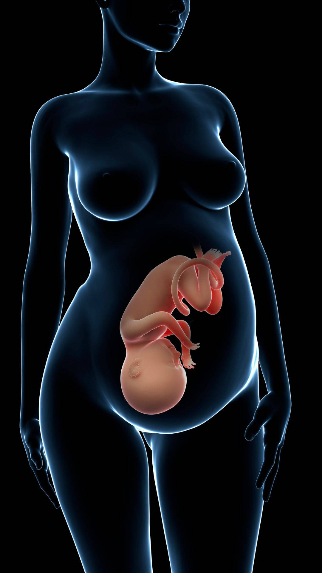Pregnancy Body Model Wallpaper