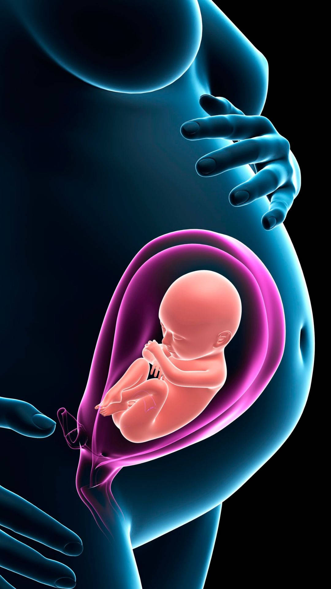 Pregnancy Graphic Body Model Wallpaper