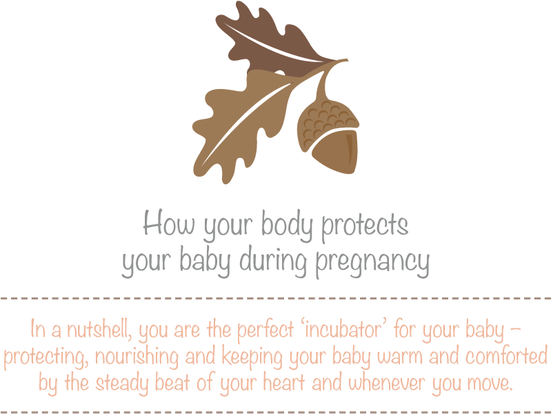 Pregnancy Protection Infographic PNG